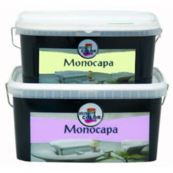 Pintura Monocapa verde suave (4 litros) IRIS